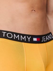 Básico imprescindible: Tommy Hilfiger jeans tu estilo esencial